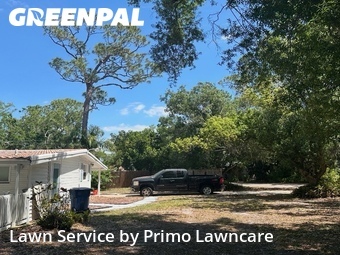 Grass Cut nearby Sarasota, FL, 