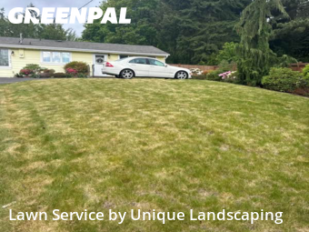 Mowing Services in Edmonds, 98026, Mowing Services by Quality Landscaping, work completed in Nov , 2025