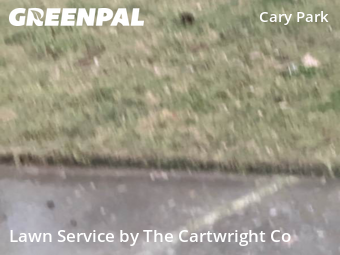 Grass Cut nearby Cary, NC, 