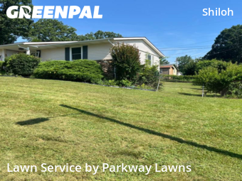 Lawn Mow nearby Asheville, NC, 