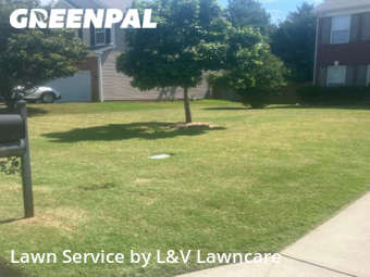 Lawn Care nearby Fort Mill, NC, 