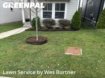 Lawn Cut nearby Nashville, TN, 