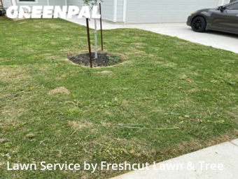 Lawn Care Service nearby New Braunfels, TX, 