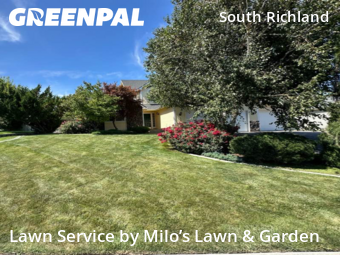 Yard Cutting nearby Richland, WA, 