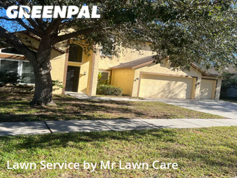 Yard Cutting nearby Brandon, FL, 