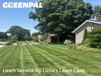 Lawn mowed in Wheaton, 60187