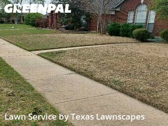 Lawn Cut nearby Frisco, TX, 