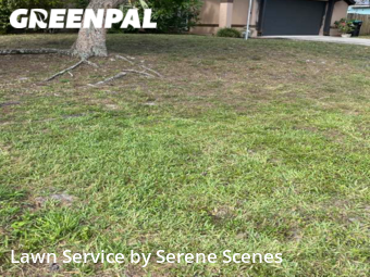 Lawn Mow nearby Palm Bay, FL, 