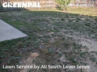 Lawn Care nearby Columbia, SC, 