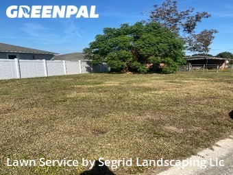 Yard Mowing nearby Haines City, FL, 