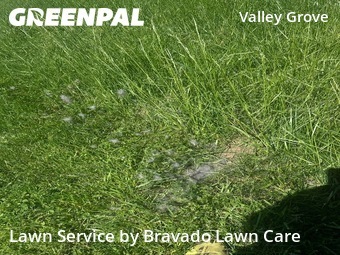 Yard Cutting nearby White House, TN, 