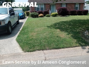 Lawn Mow nearby Suffolk, VA, 
