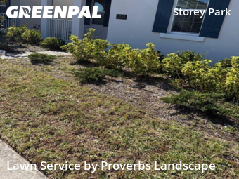 Yard Cutting nearby Orlando, FL, 