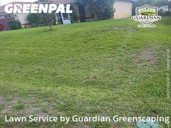 Grass Cutting nearby Fort Myers, FL, 