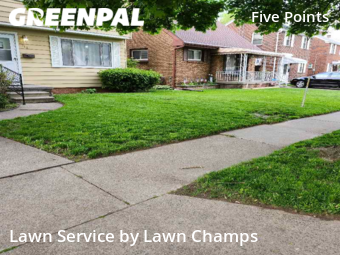 Lawn Care nearby Toledo, OH, 
