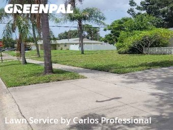 Lawn Mowing nearby St. Petersburg, FL, 