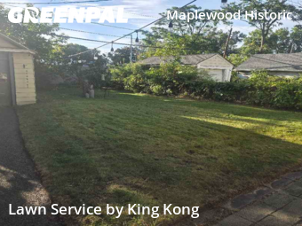 Lawn Cut nearby Rochester, NY, 