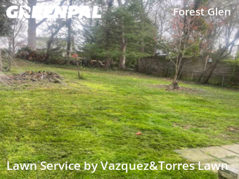 Lawn Cut nearby Silver Spring, MD, 