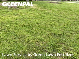 Grass Cutting nearby Springfield, MO, 