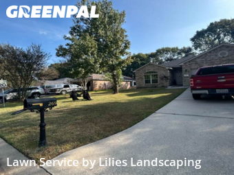 Backyard Landscaping In Montgomery,77316,Landscaping Maintenance by Lilies Landscaping, work completed in Dec , 2025