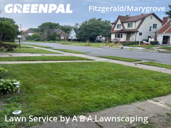 Lawn Cutting nearby Detroit, MI, 