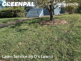 Grass Cut nearby Louisville, KY, 