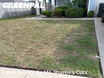 Yard Cutting nearby Corpus Christi, TX, 