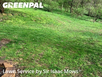 Lawn Care nearby Millvale, PA, 