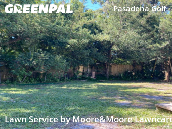 Turf Services in Gulfport, 33707, Yard Cutting by Moore&Moore Lawncare, work completed in Nov , 2025
