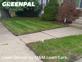 Yard Cutting nearby Calumet City, IL, 