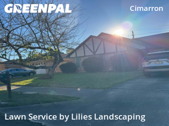 Lawn Mowing nearby Katy, TX, 