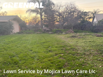 lawn-care-services-in-Elk Grove-CA