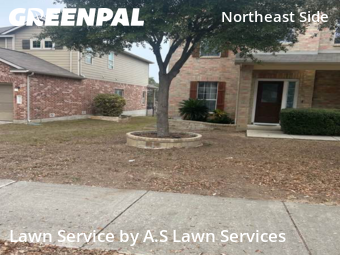 Lawn Cut nearby Schertz, TX, 