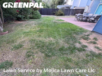 Work completed by grass-cutting-businesses-in-Elk Grove-CA