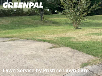 Lawn Cut nearby Taylors, SC, 