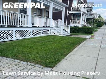 Grass Cut nearby Boston, MA, 