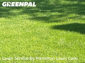 Lawn Cutting nearby Noblesville, IN, 