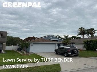 Lawn Servicein Oldsmar,34677,Lawn Cut by TURF BENDER LAWNCARE, work completed in Jun , 2026