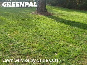 Lawn Cutting nearby Pittsburgh, PA, 