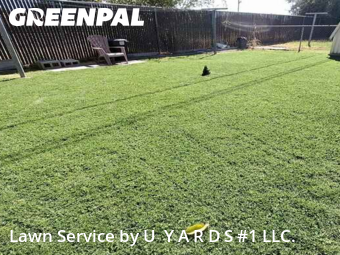 Grass Cut nearby Riverbank, CA, 