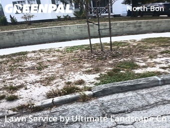 Lawn Mow nearby Tampa, FL, 