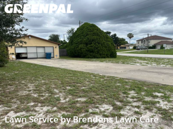 Lawn Maintenance nearby Spring Hill, FL, 