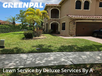 Turf Services in Parkland, 33076, Yard Management by Deluxe Services By A, work completed in Dec , 2025
