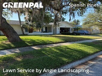 Lawn Carein Dunedin,34698,Grass Cut by Angie Landscaping , work completed in Jun , 2026