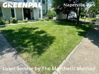 Grass Cutting nearby Naperville, IL, 