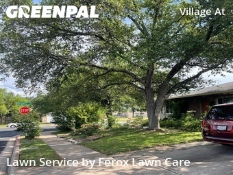 Lawn Cutting nearby Austin, TX, 