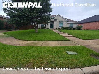 Lawn Cutin Plano,75024,Lawn Cut by Lawn Expert, work completed in Jun , 2026