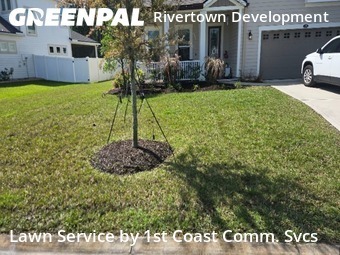 Lawn Mowing Service nearby Jacksonville, FL, 