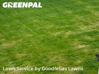 Lawn Mow nearby Omaha, NE, 