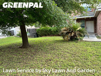Lawn Care nearby Helotes, TX, 